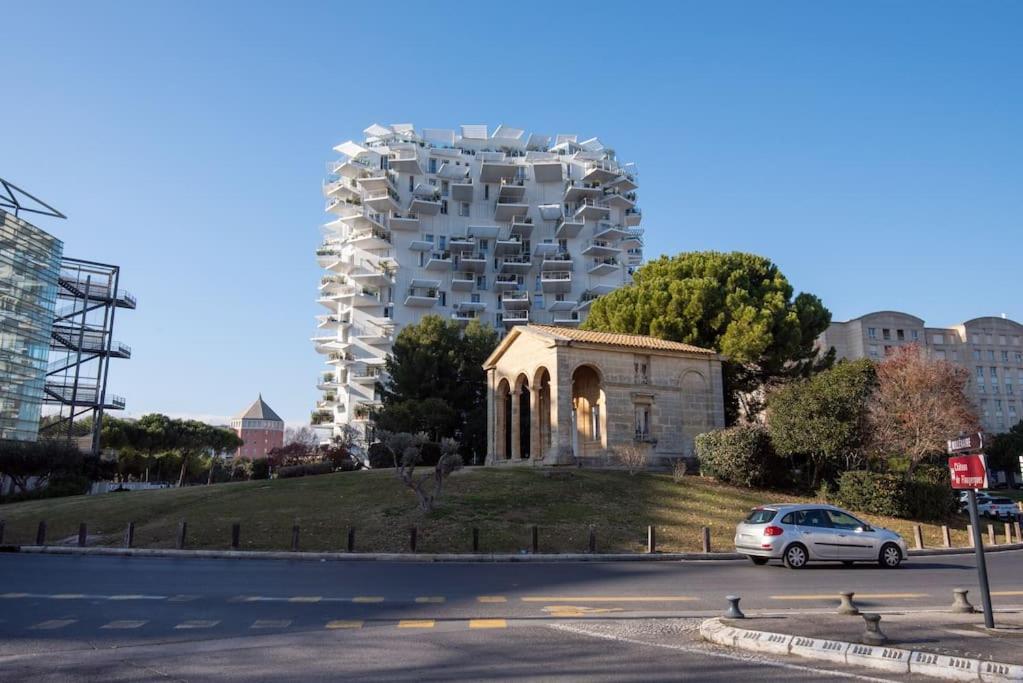 Appartement T2 A L'Arbre Blanc Montpellier Exterior foto