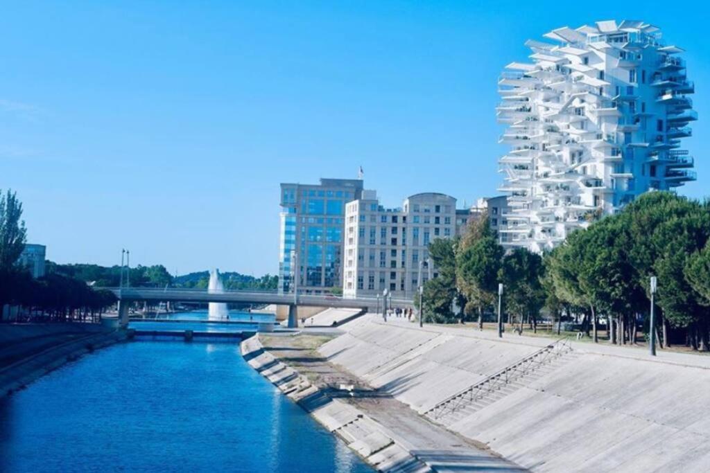 Appartement T2 A L'Arbre Blanc Montpellier Exterior foto